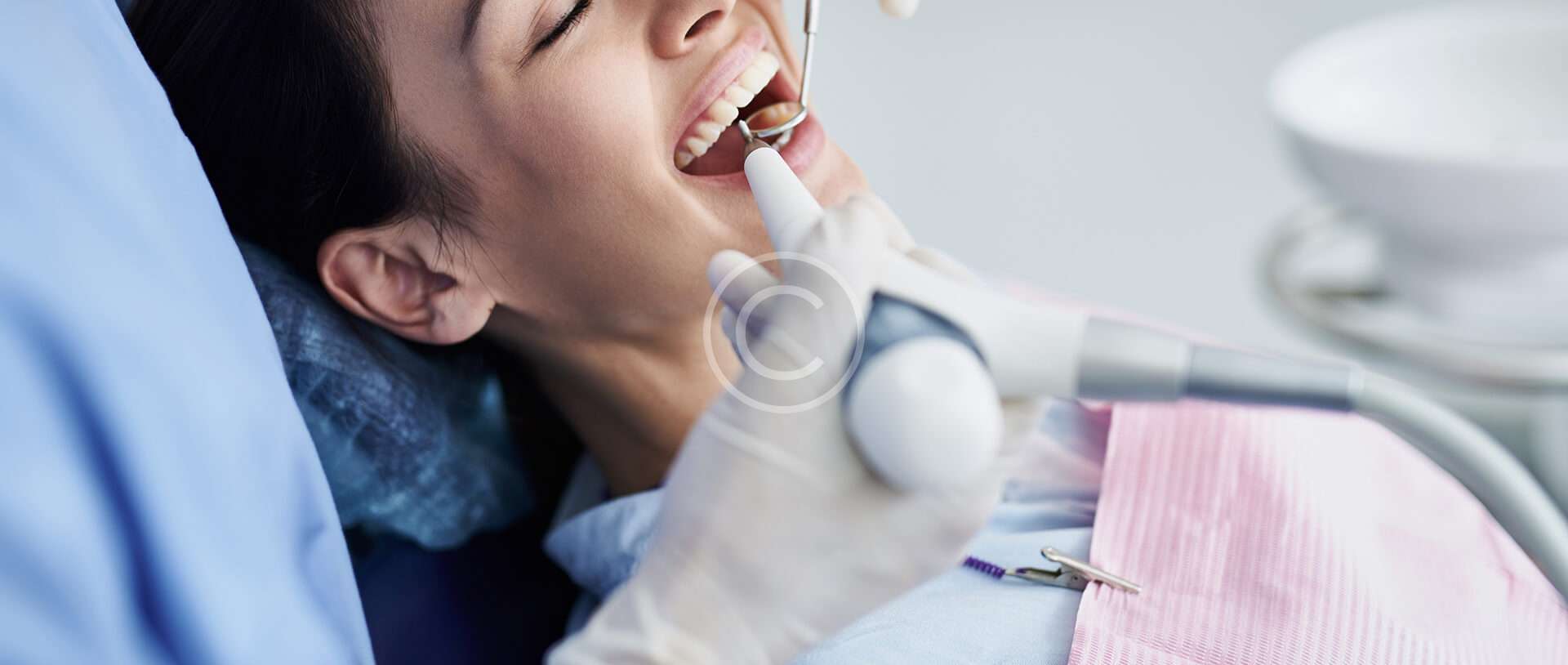 home elementor 1 copyright