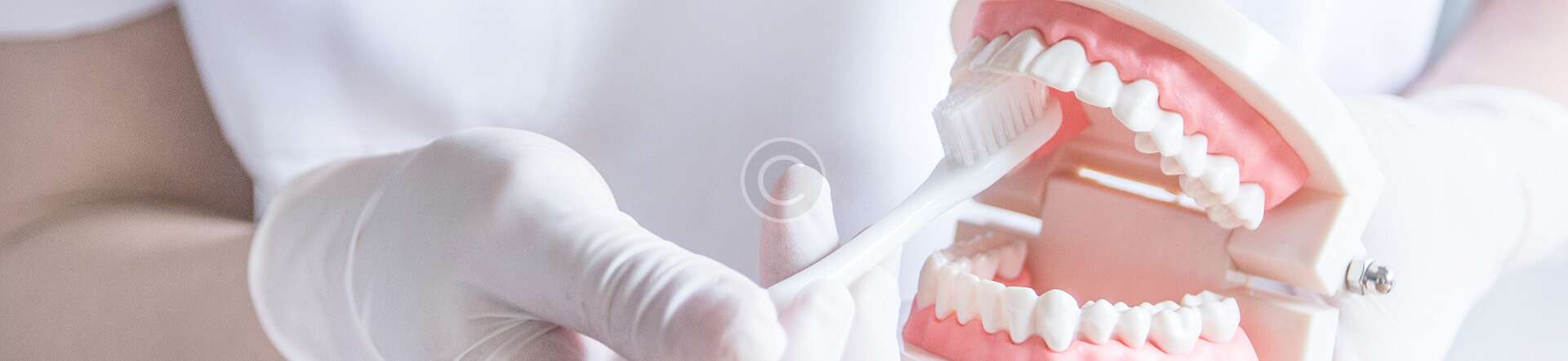 home elementor 17 copyright