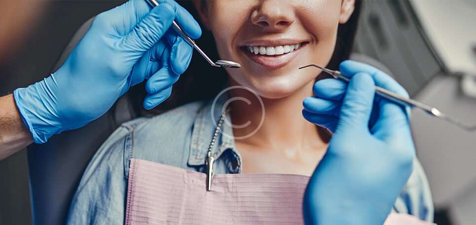 home elementor 3 copyright