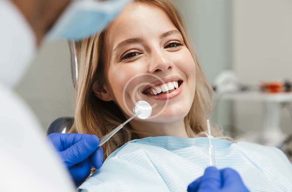 home elementor 4 copyright