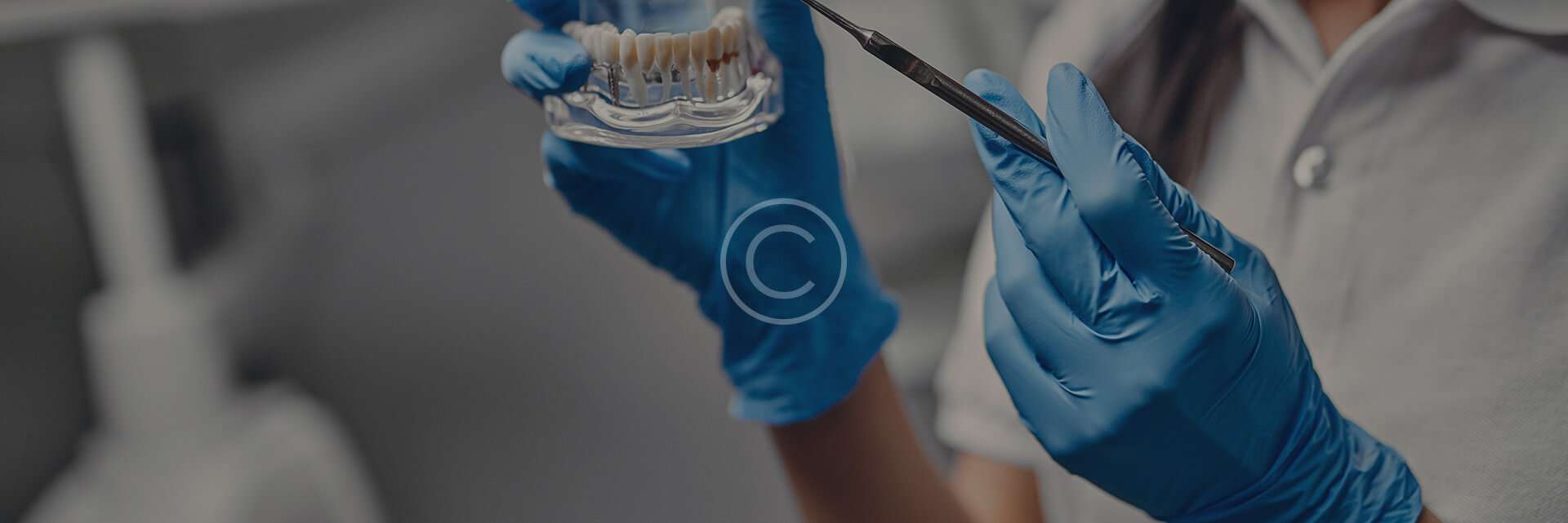 home elementor 5 copyright